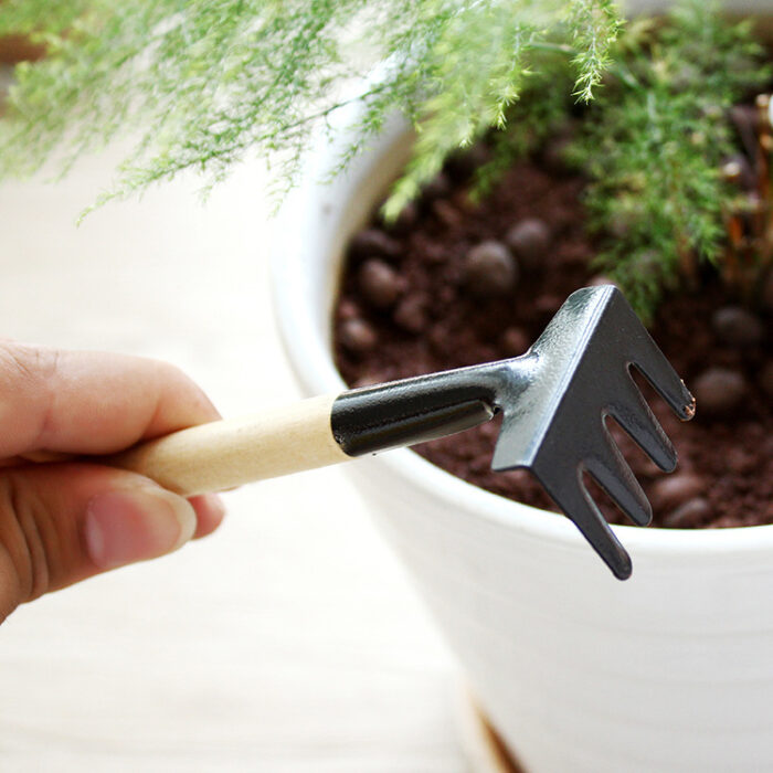 B2120 Mini Garden Tools Set – Shovel, Rake, and Spade for Plants - Image 2