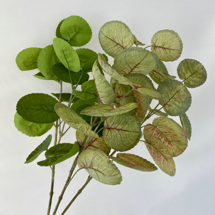 Single Hydrangea & Money Bag Leaf – Green Plant Decoration - Image 3