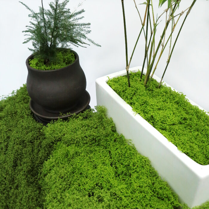 Simulation Moss Lawn – Bionic Moss Landscaping & Bonsai Decoration - Image 3