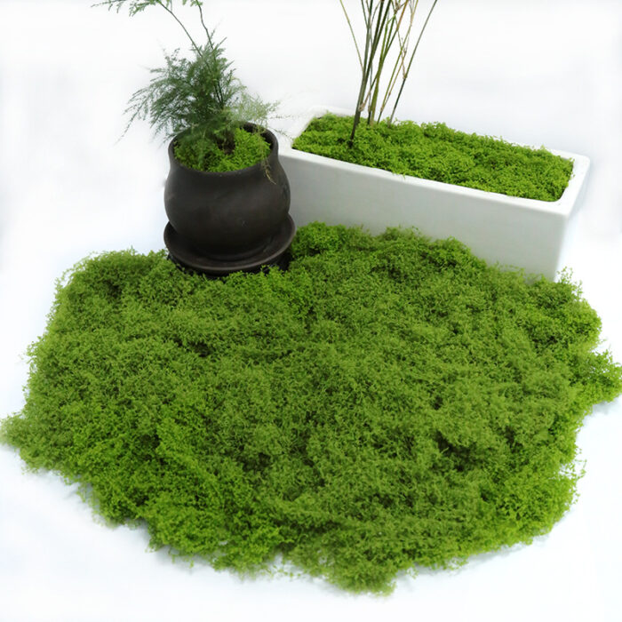 Simulation Moss Lawn – Bionic Moss Landscaping & Bonsai Decoration