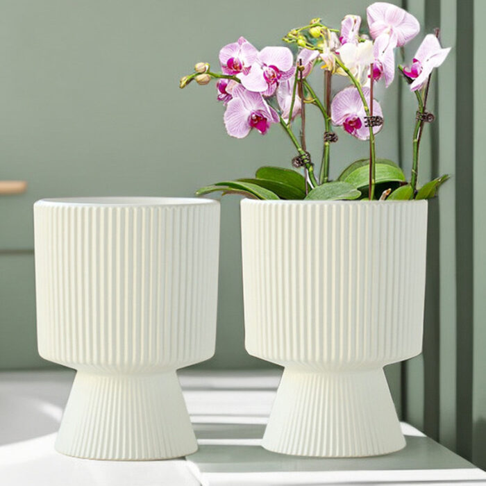 Nordic Resin Ceramic Flower Pot with Tray – Ideal for Phalaenopsis Orchid - Image 3